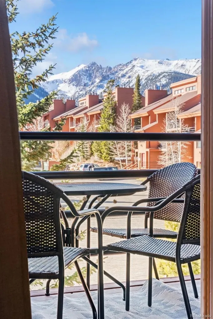 91100 Ryan Gulch Road Silverthorne CO 80498