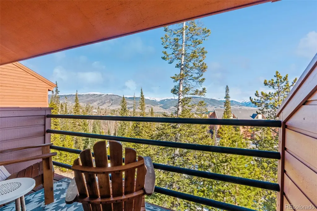 91100 Ryan Gulch Road Silverthorne CO 80498