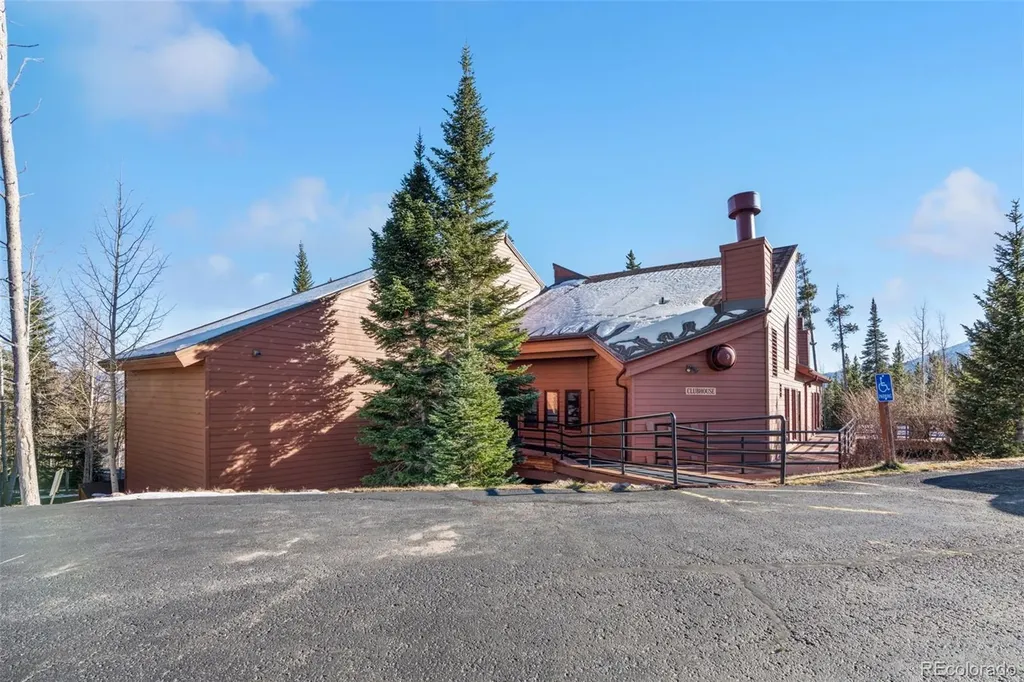 91100 Ryan Gulch Road Silverthorne CO 80498