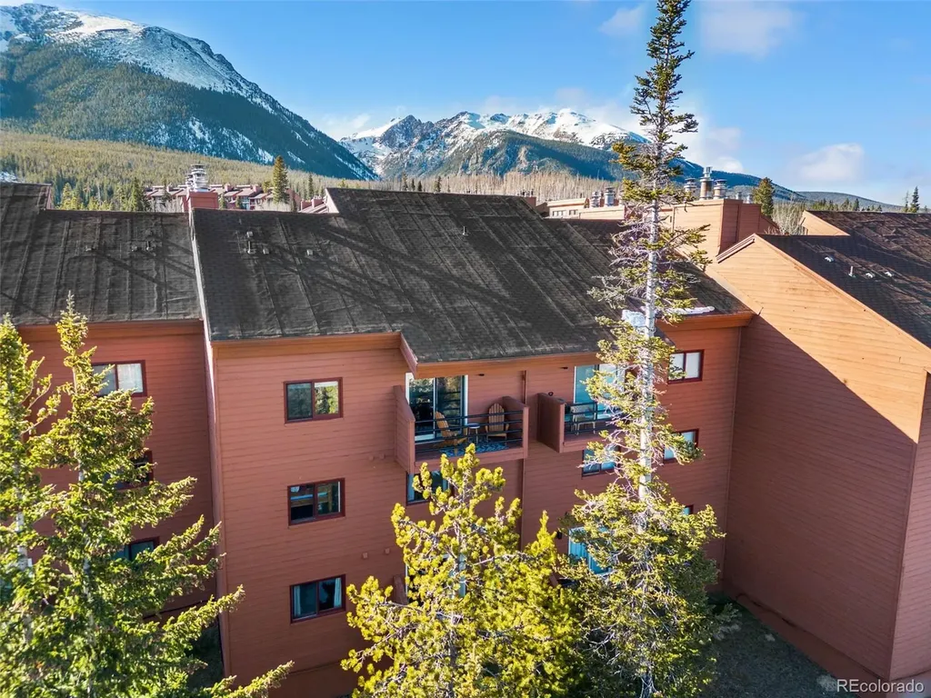91100 Ryan Gulch Road Silverthorne CO 80498
