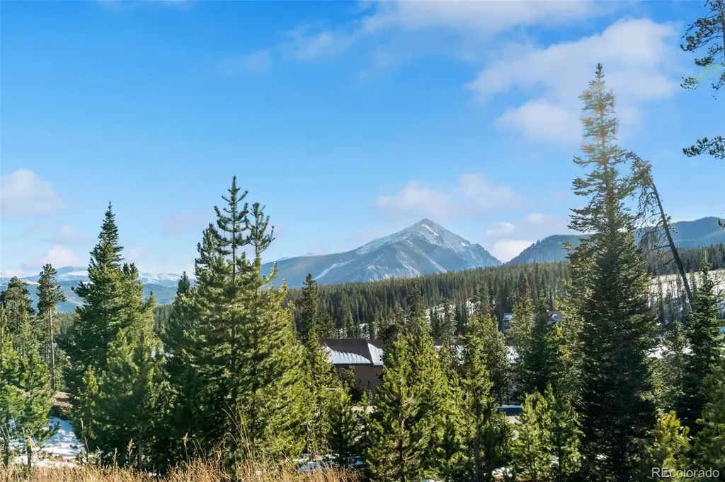 91100 Ryan Gulch Road Silverthorne CO 80498