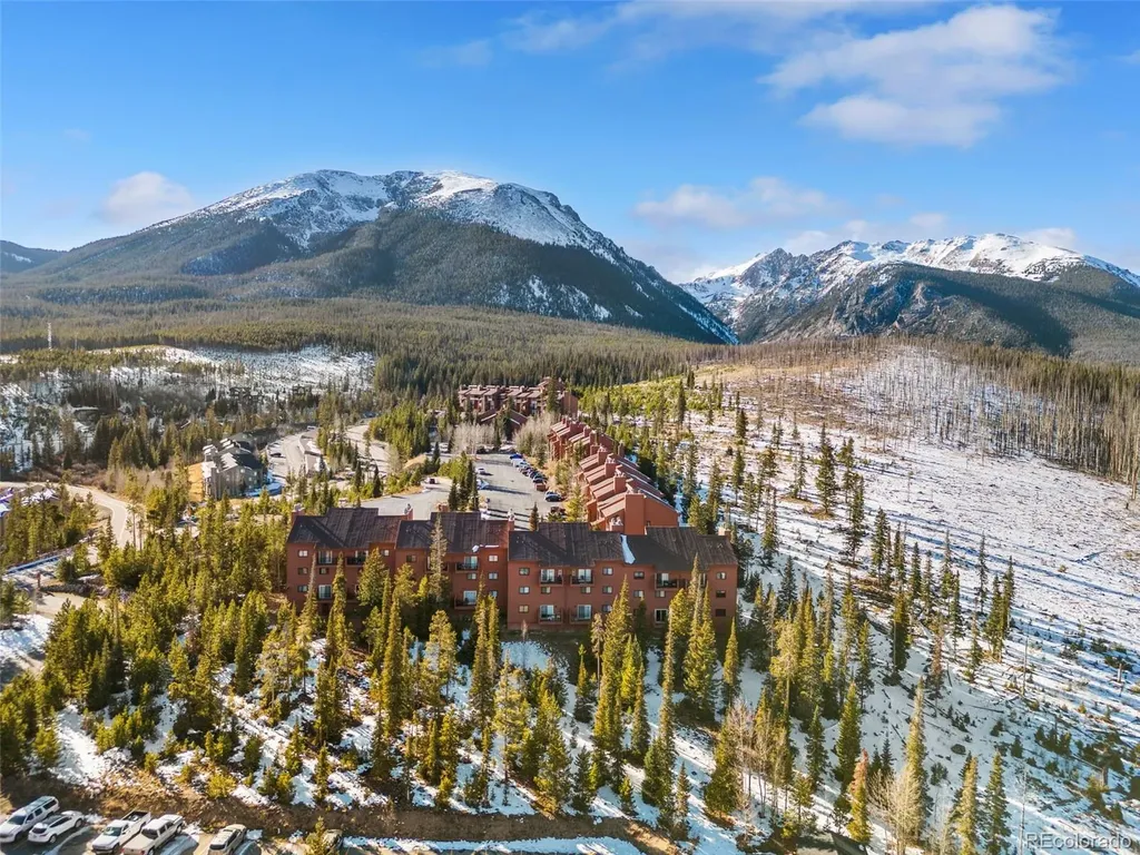 91100 Ryan Gulch Road Silverthorne CO 80498