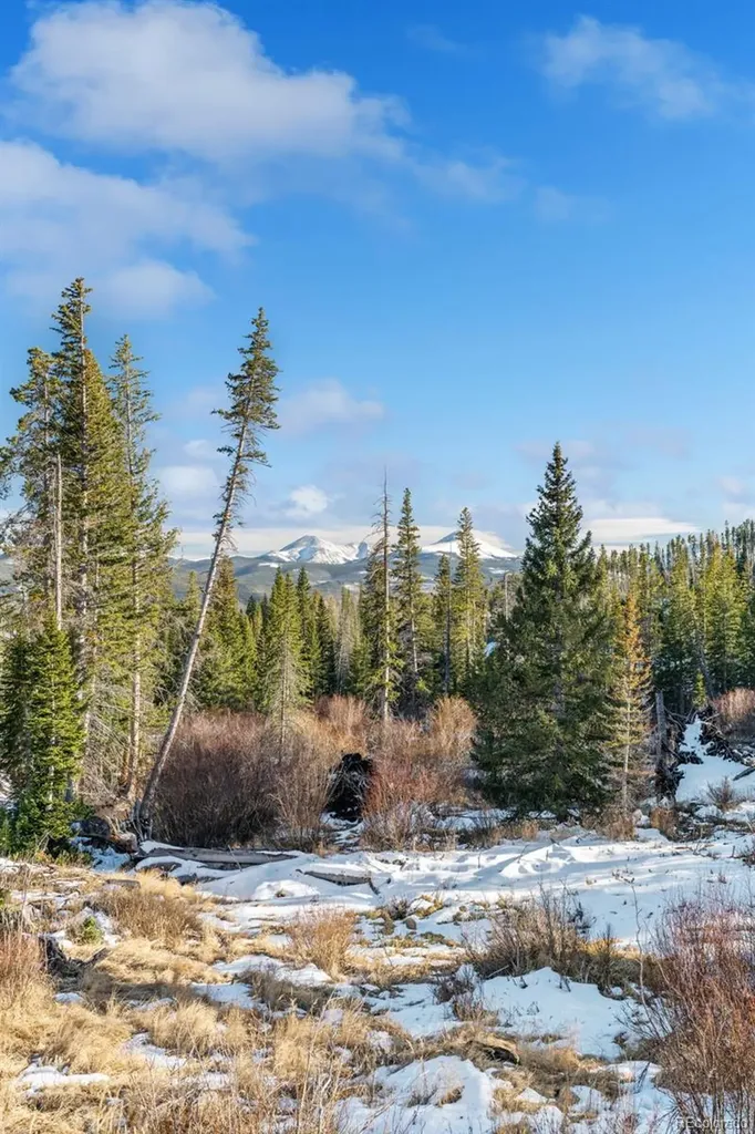 91100 Ryan Gulch Road Silverthorne CO 80498