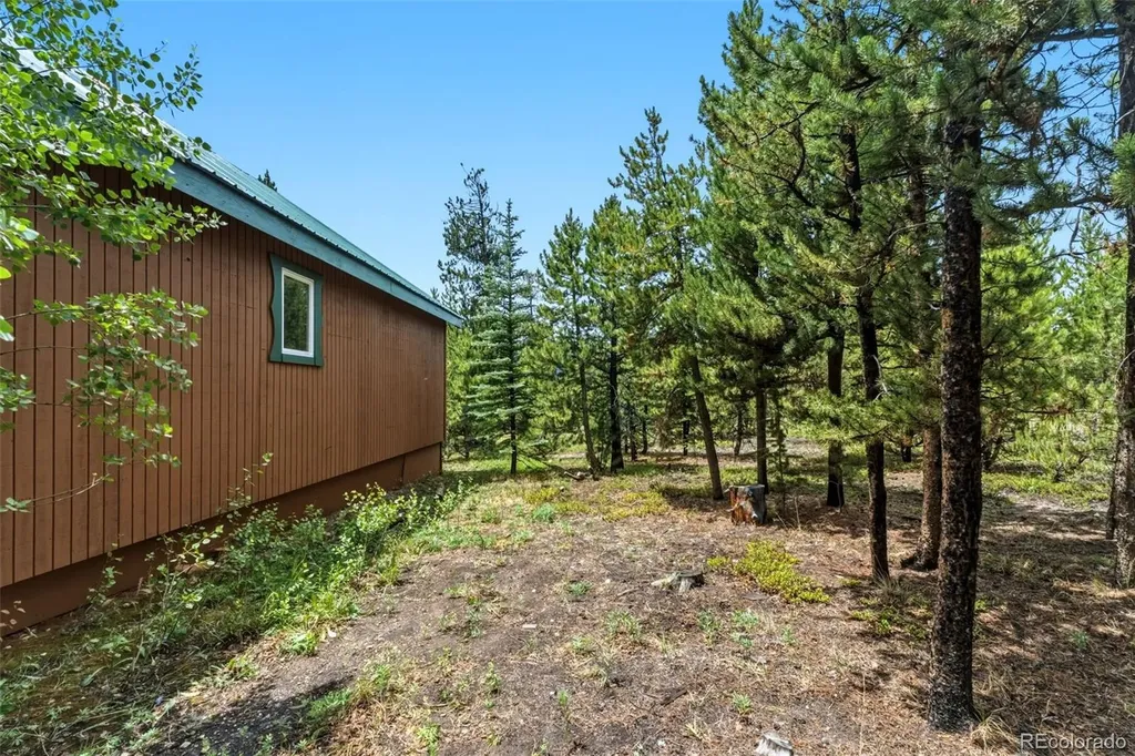 137 B Road Silverthorne CO 80498