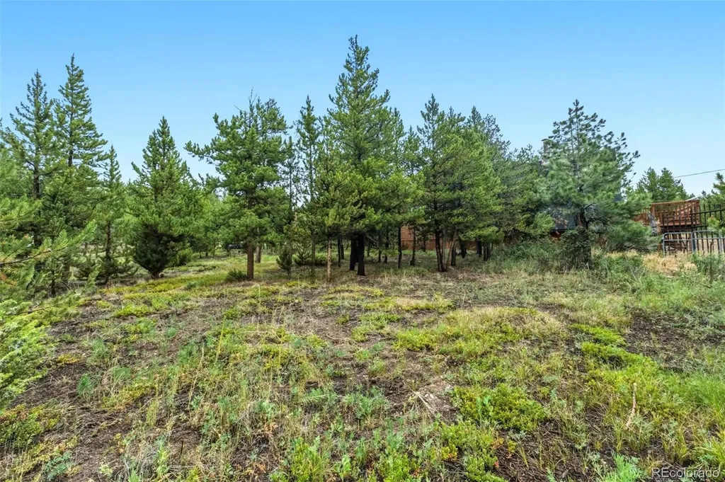 137 B Road Silverthorne CO 80498
