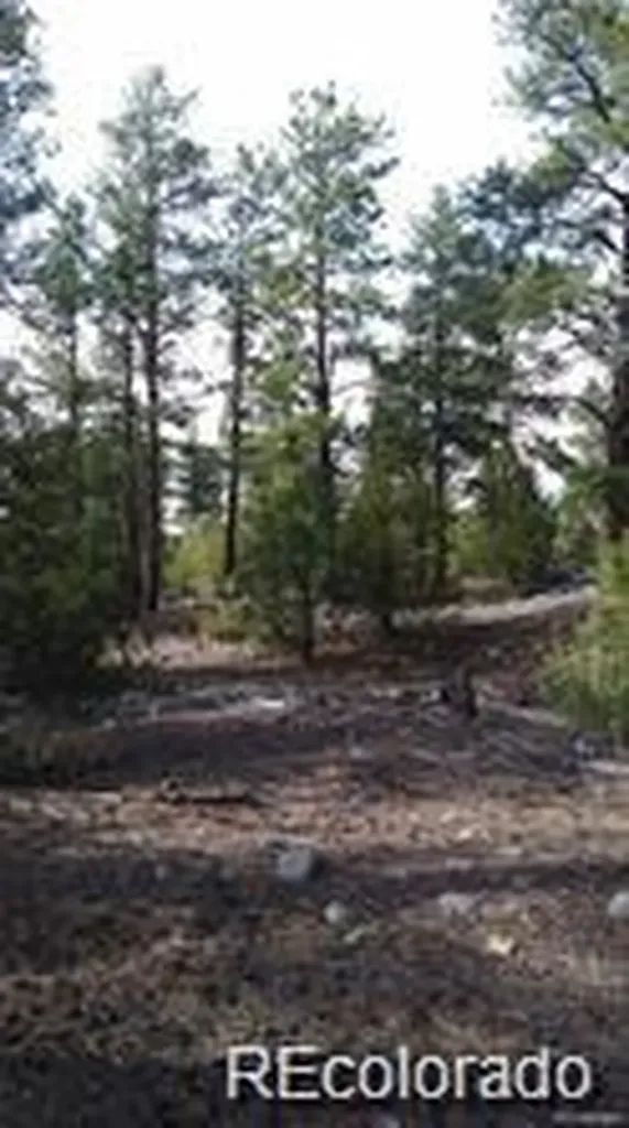 13 Tract 2 Costilla Place Alamosa CO 81101