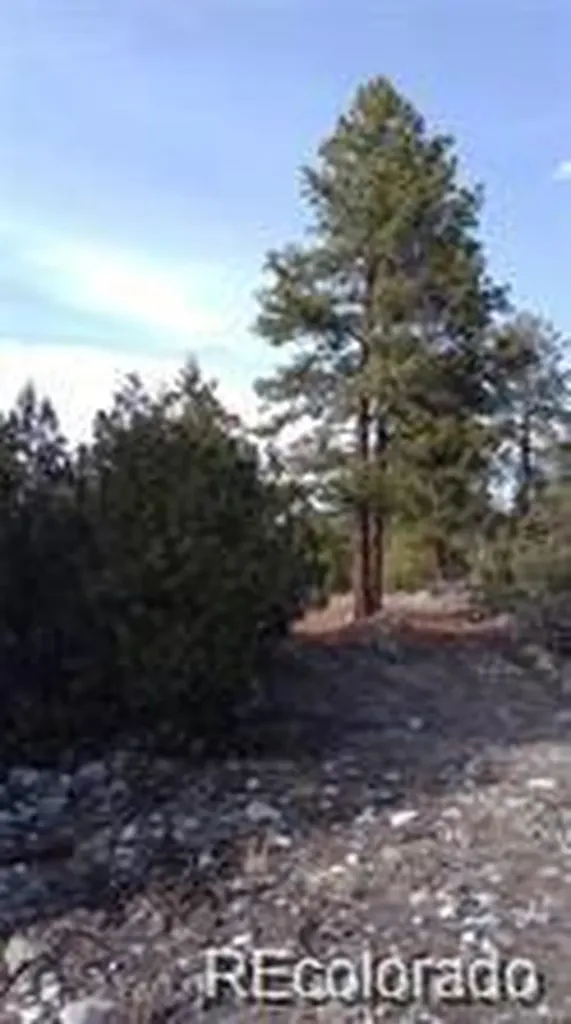 13 Tract 2 Costilla Place Alamosa CO 81101