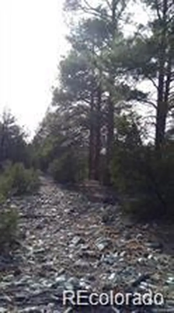 13 Tract 2 Costilla Place Alamosa CO 81101