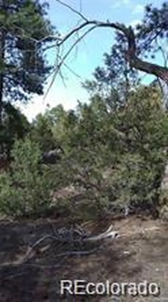 13 Tract 2 Costilla Place Alamosa CO 81101