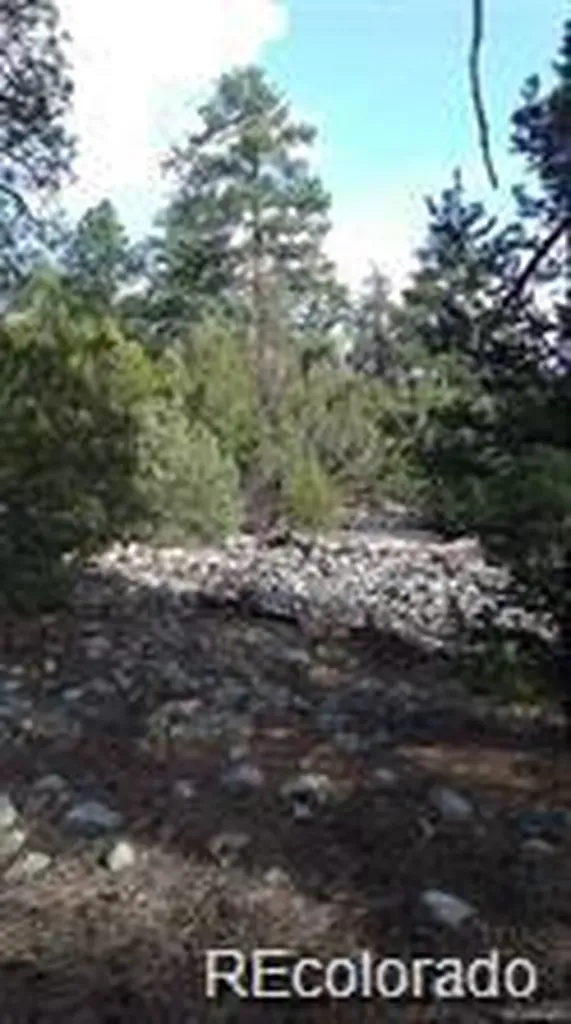 13 Tract 2 Costilla Place Alamosa CO 81101