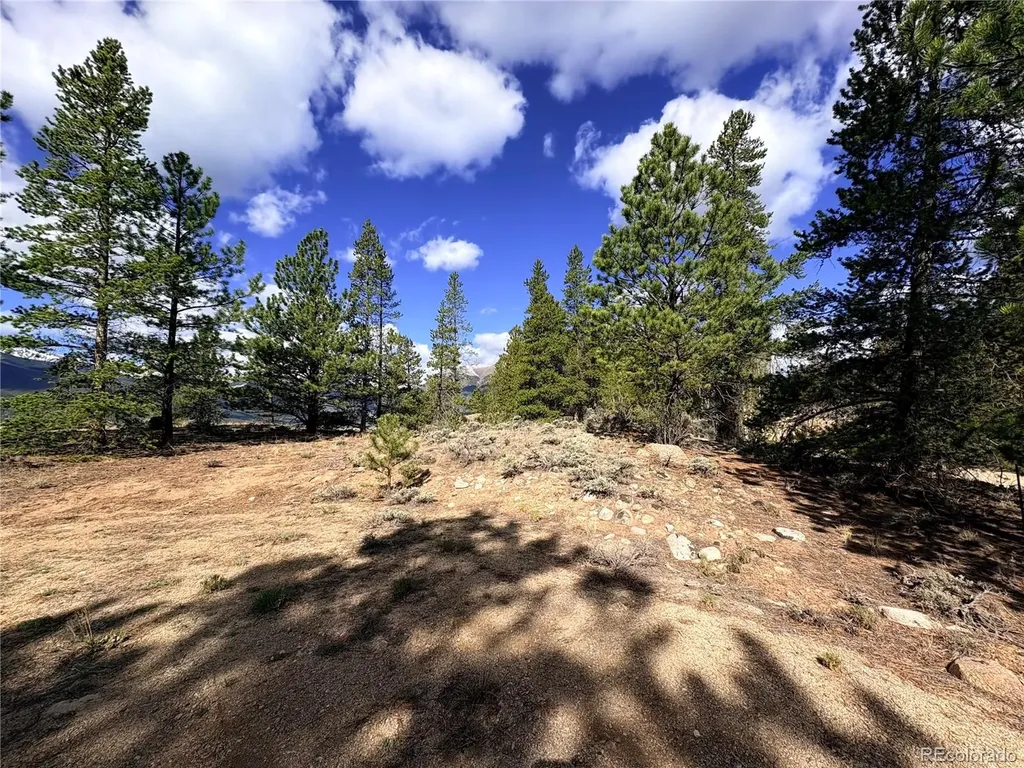 10007 Ross Drive Twin Lakes CO 81251
