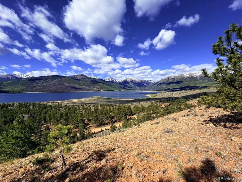 10007 Ross Drive Twin Lakes CO 81251