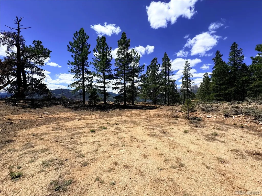 10007 Ross Drive Twin Lakes CO 81251