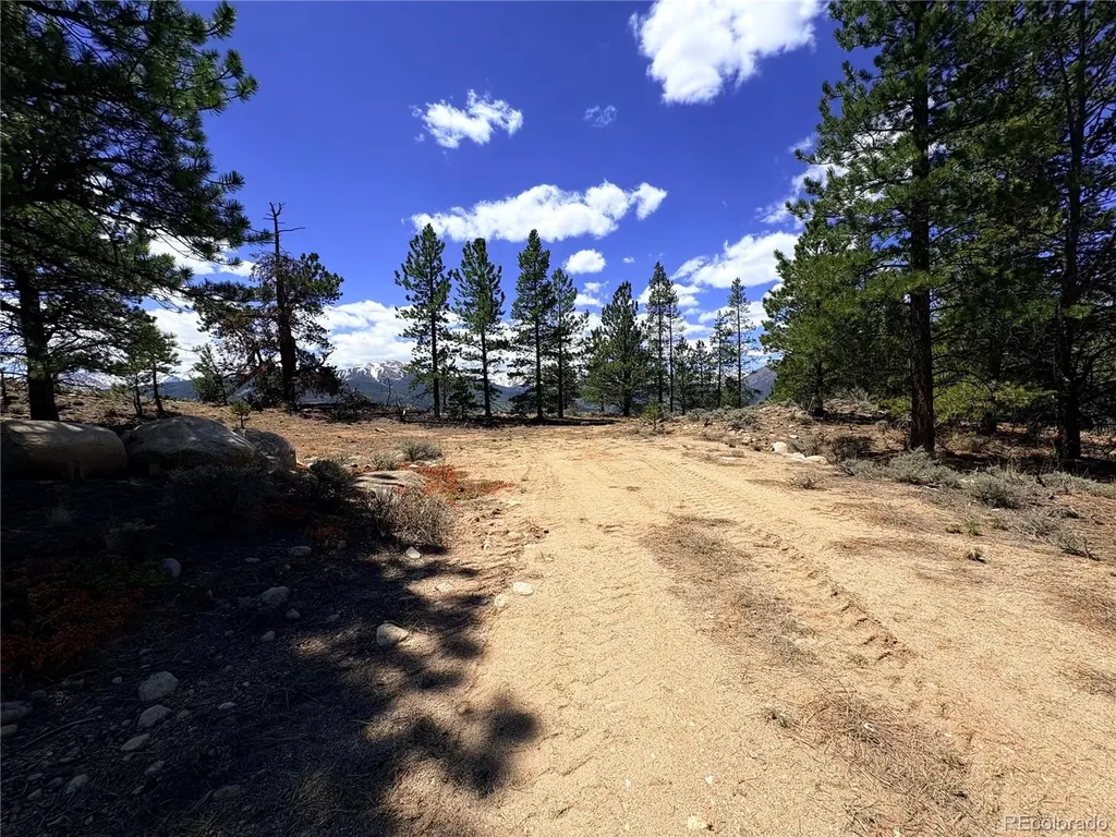 10007 Ross Drive Twin Lakes CO 81251