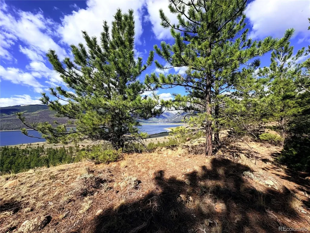 10007 Ross Drive Twin Lakes CO 81251