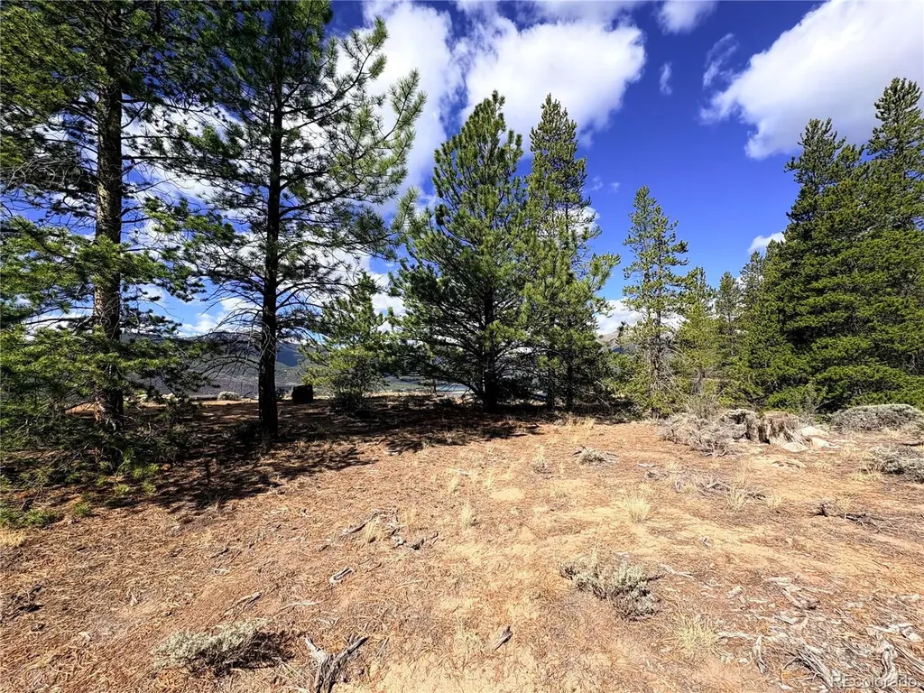 10007 Ross Drive Twin Lakes CO 81251