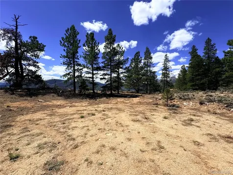10007 Ross Drive Twin Lakes CO 81251