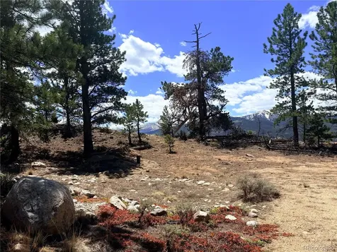 10007 Ross Drive Twin Lakes CO 81251