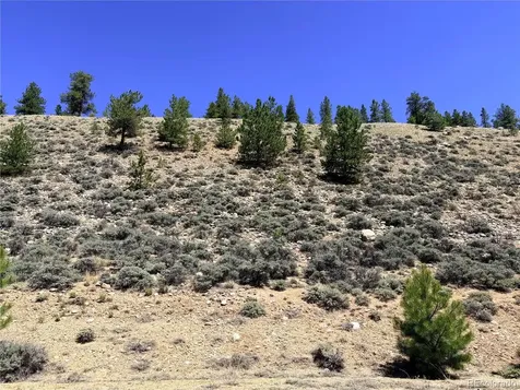 10007 Ross Drive Twin Lakes CO 81251