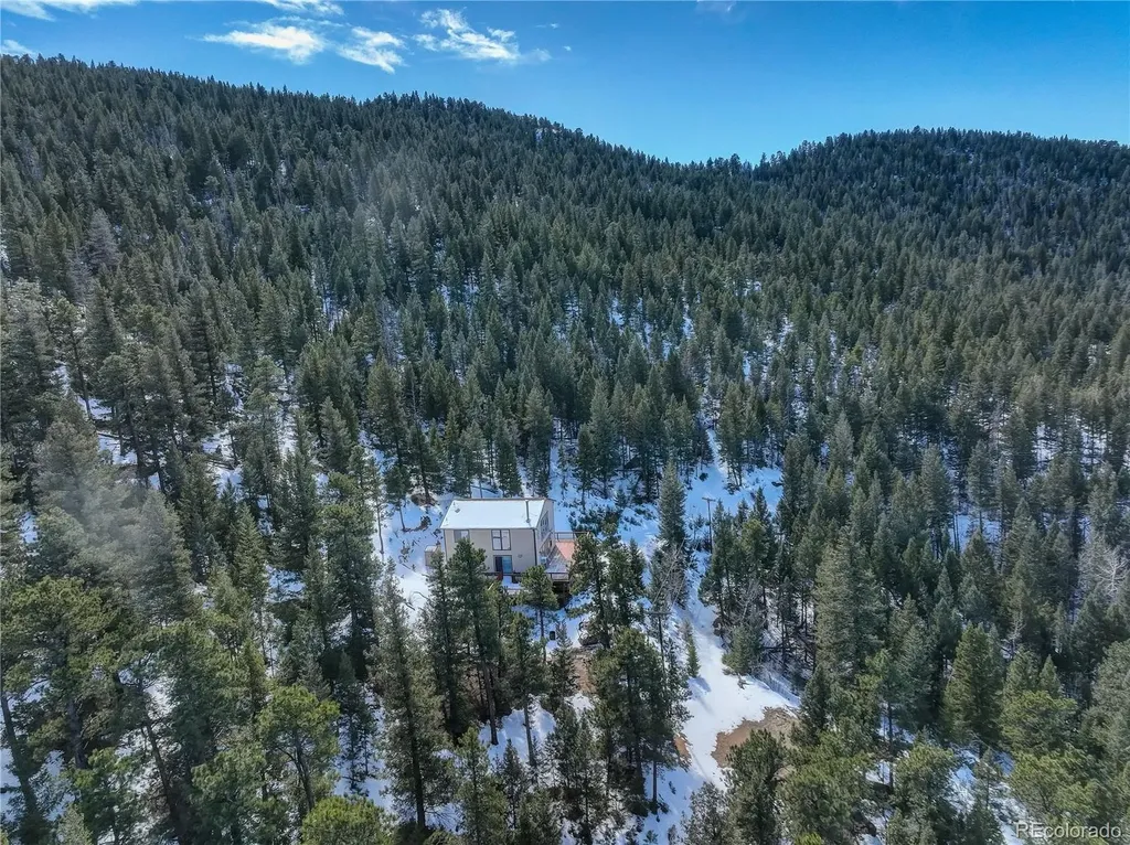 33804 Bergen View Trail Evergreen CO 80439