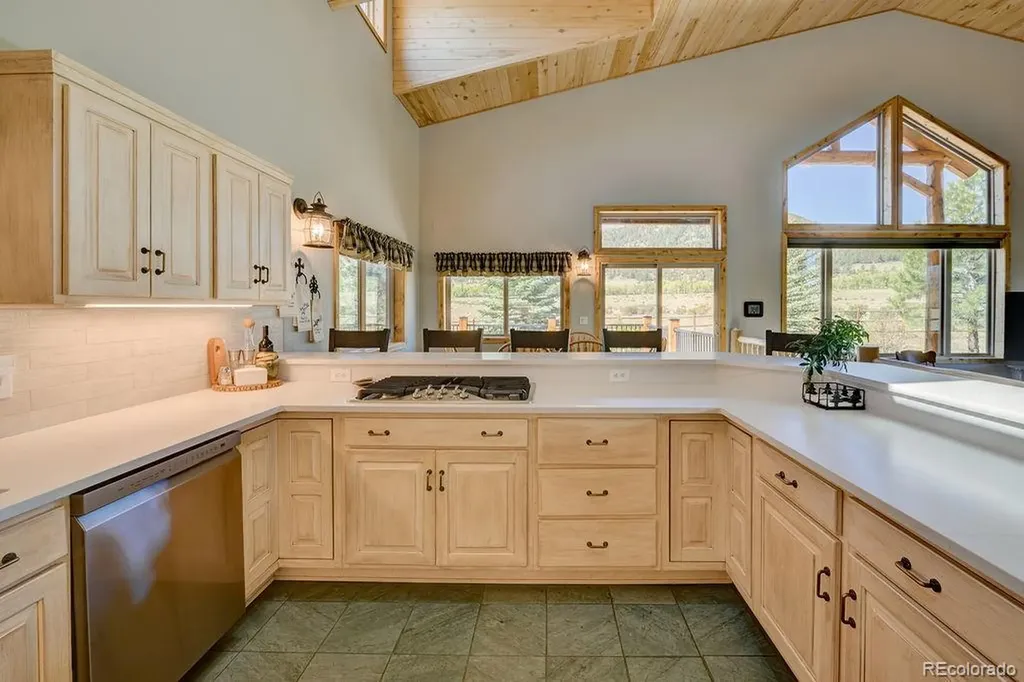 27100 County Road 342 Buena Vista CO 81211