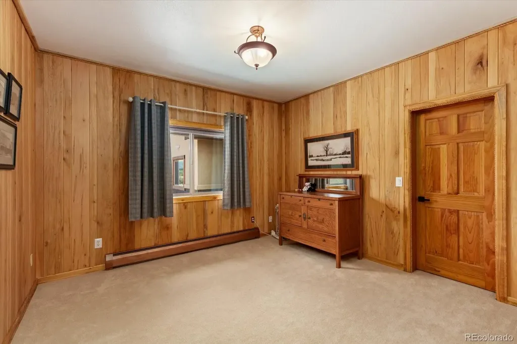 27100 County Road 342 Buena Vista CO 81211