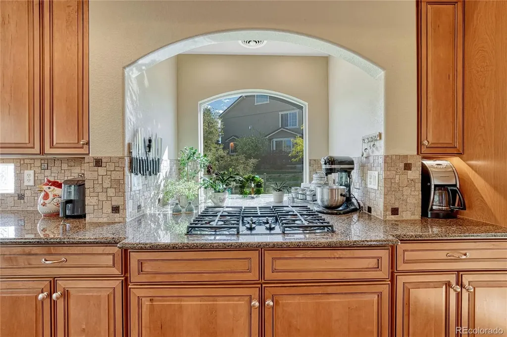 1410 Exquisite Street Castle Rock CO 80109