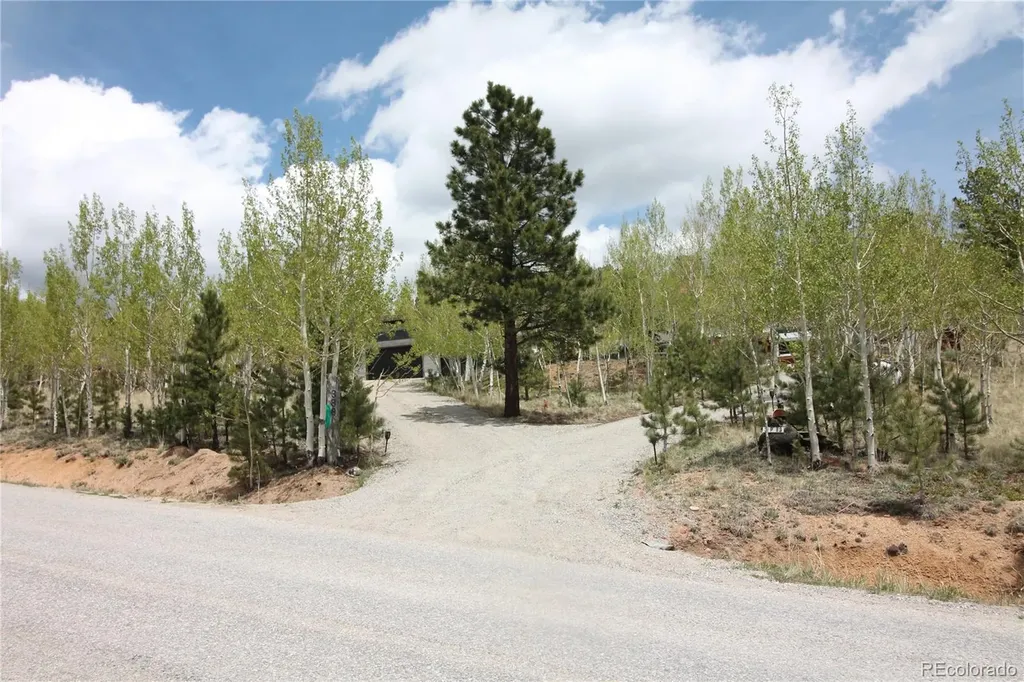 388 Clark Road Bailey CO 80421