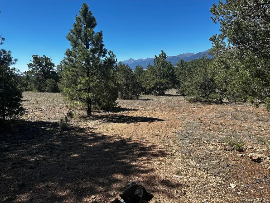 960 Oak Drive Westcliffe CO 81252
