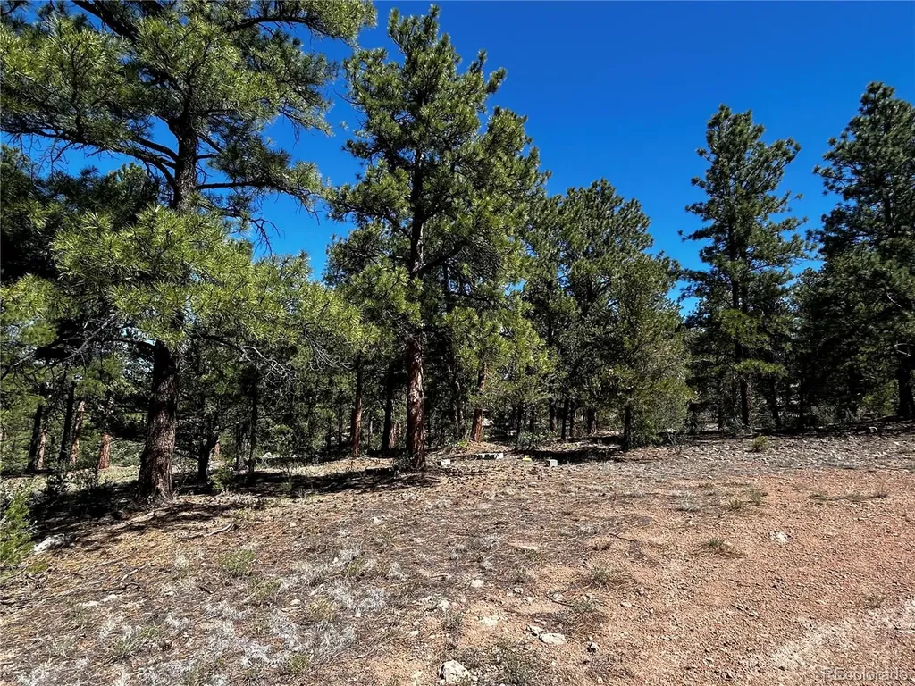 960 Oak Drive Westcliffe CO 81252