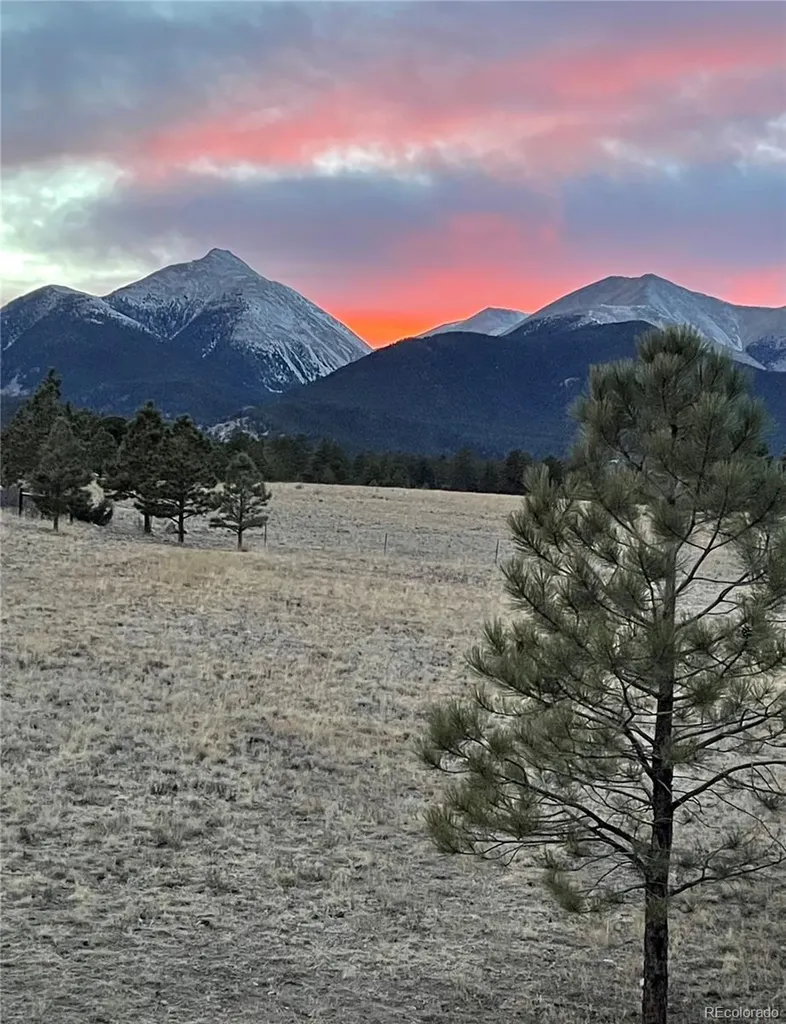 13940 County Road 261f Nathrop CO 81236