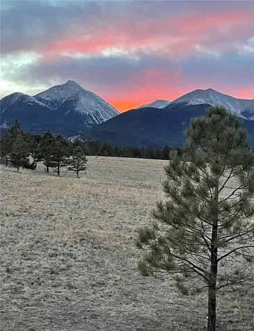 13940 County Road 261f Nathrop CO 81236