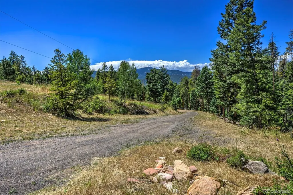 25845 Sunny Aspen Trail Conifer CO 80433