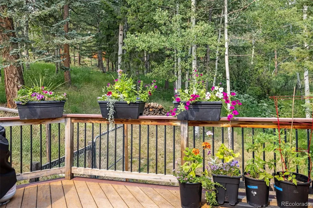 31547 Niakwa Road Evergreen CO 80439