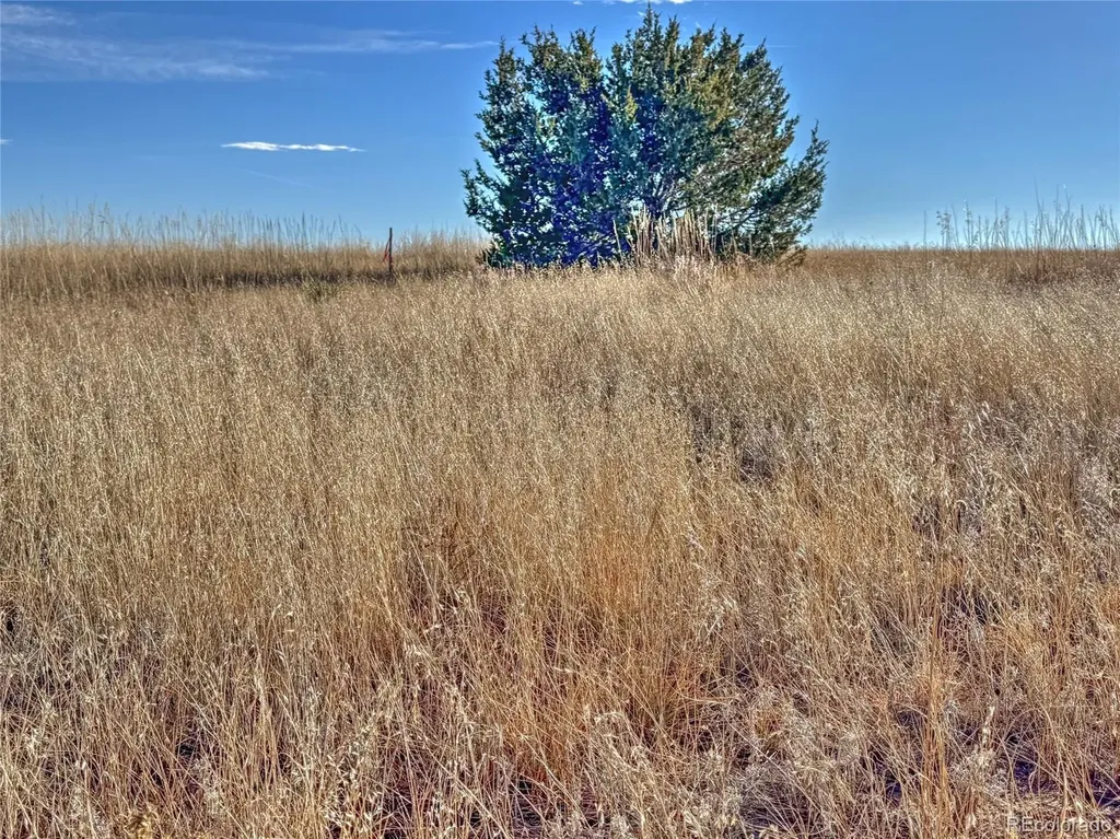 TBD-L309 Morgan Place Colorado City CO 81019