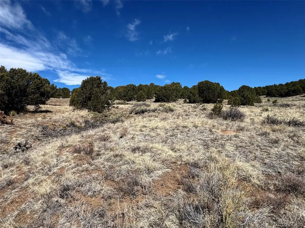514 Kiowa Road Westcliffe CO 81252