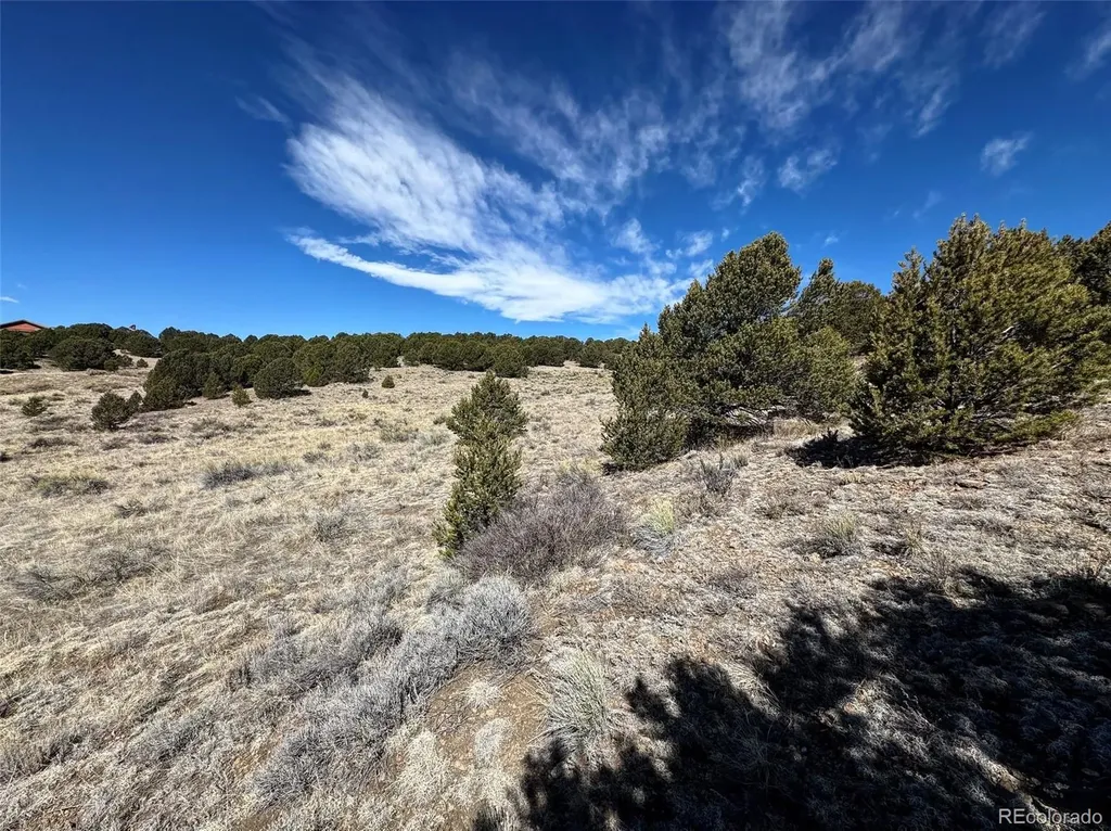 514 Kiowa Road Westcliffe CO 81252