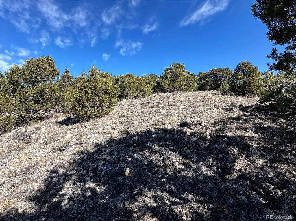 514 Kiowa Road Westcliffe CO 81252