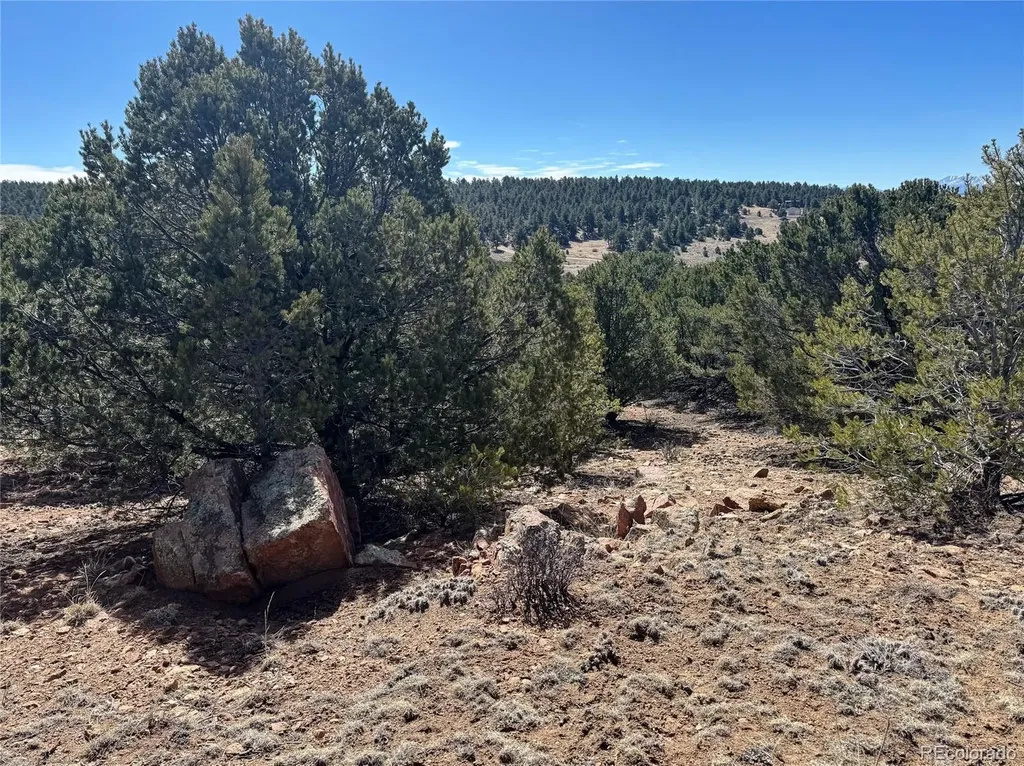 514 Kiowa Road Westcliffe CO 81252