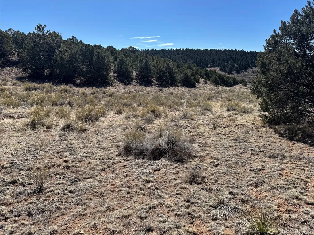 514 Kiowa Road Westcliffe CO 81252