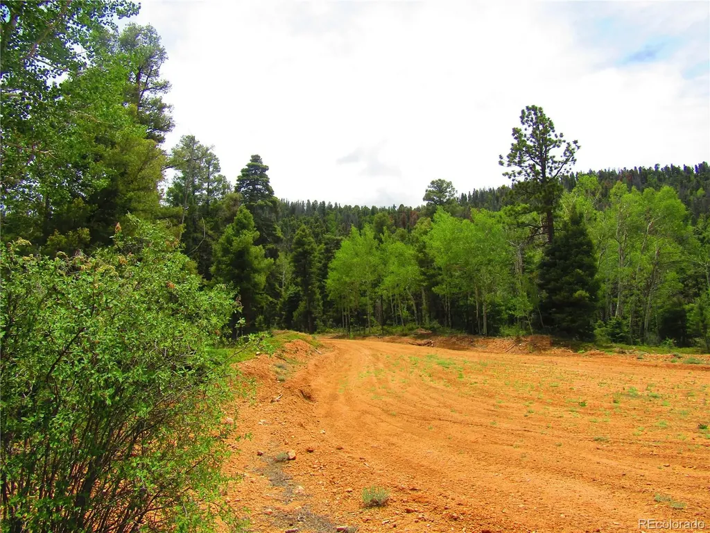 Lot 6028 Spruce Roads San Luis CO 81152