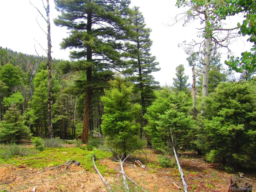 Lot 6028 Spruce Roads San Luis CO 81152