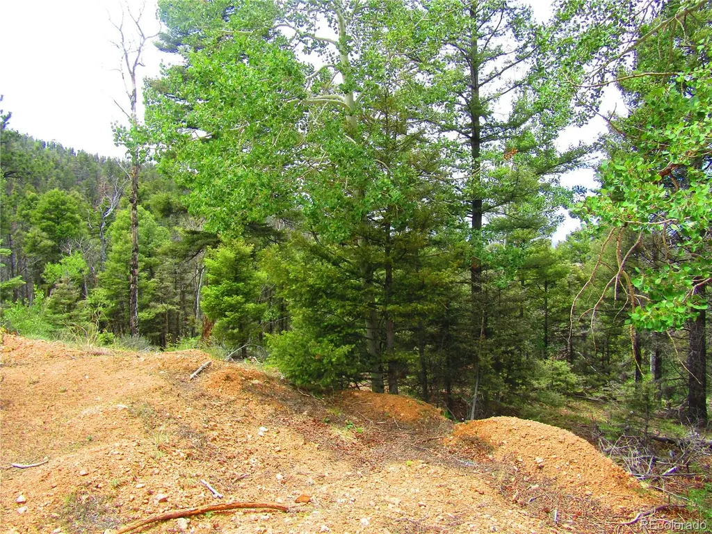 Lot 6028 Spruce Roads San Luis CO 81152