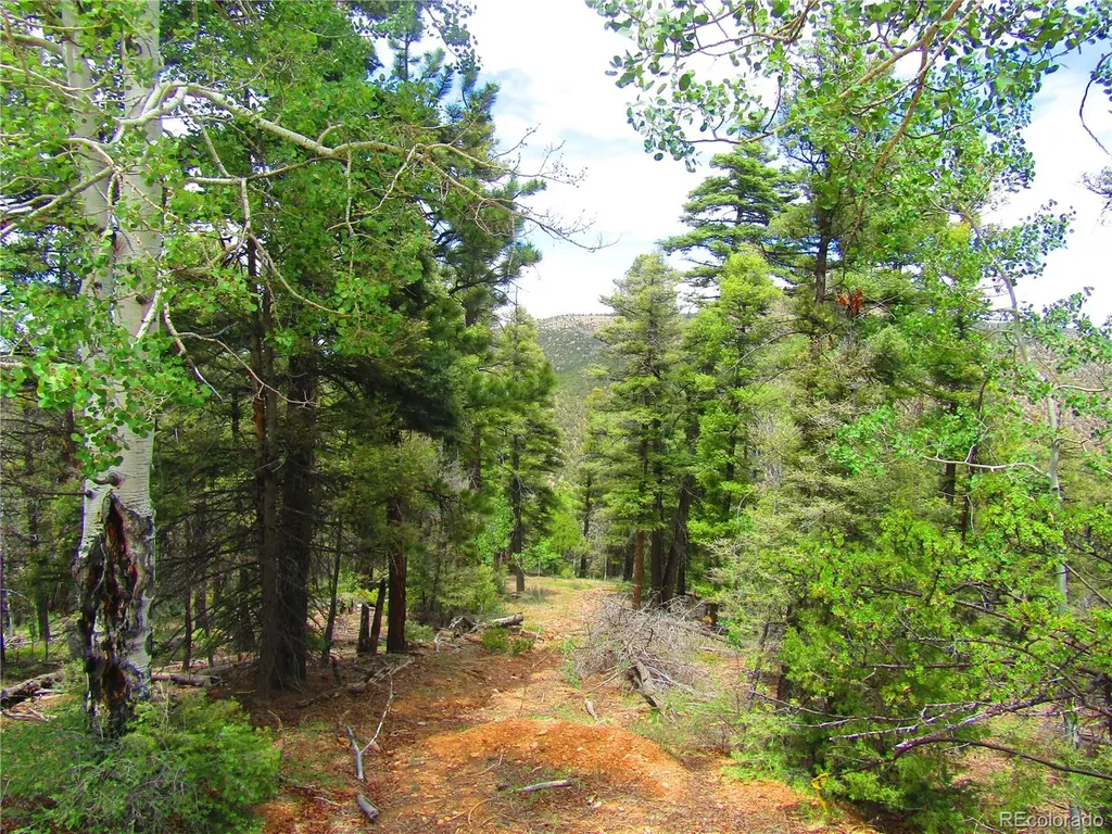 Lot 6028 Spruce Roads San Luis CO 81152