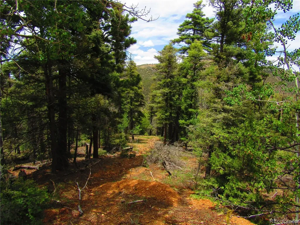 Lot 6028 Spruce Roads San Luis CO 81152