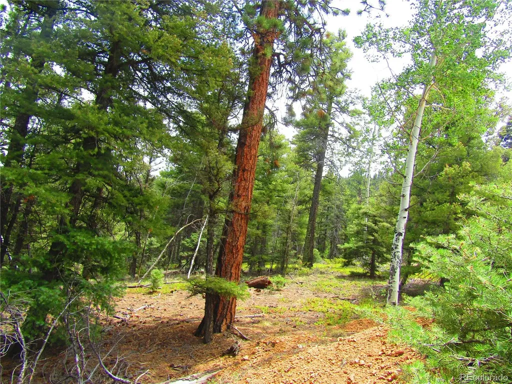 Lot 6028 Spruce Roads San Luis CO 81152