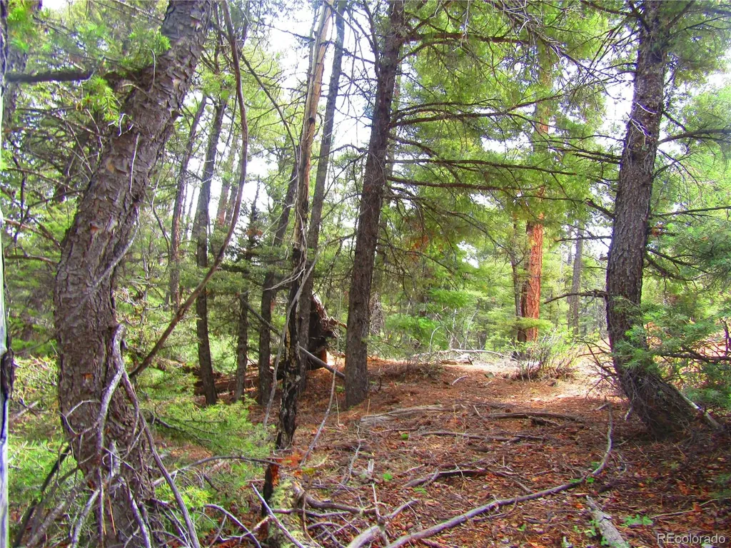 Lot 6028 Spruce Roads San Luis CO 81152
