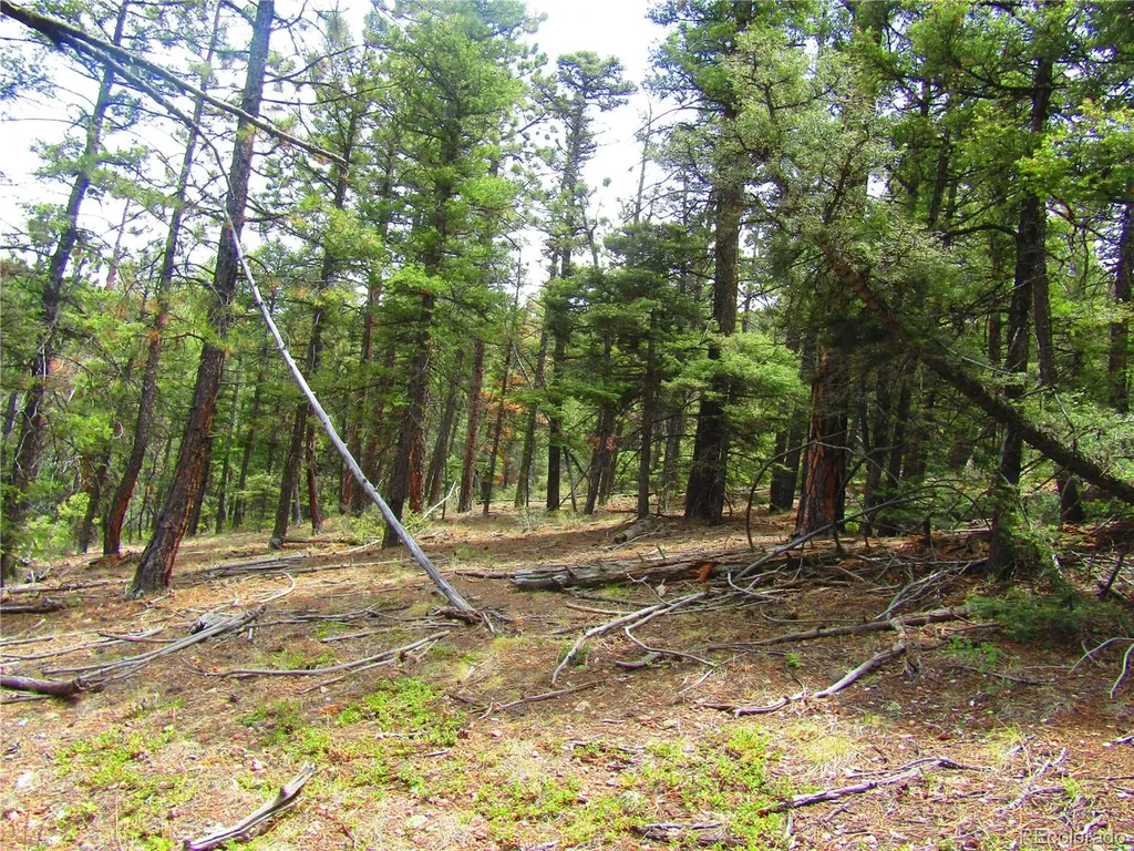 Lot 6028 Spruce Roads San Luis CO 81152