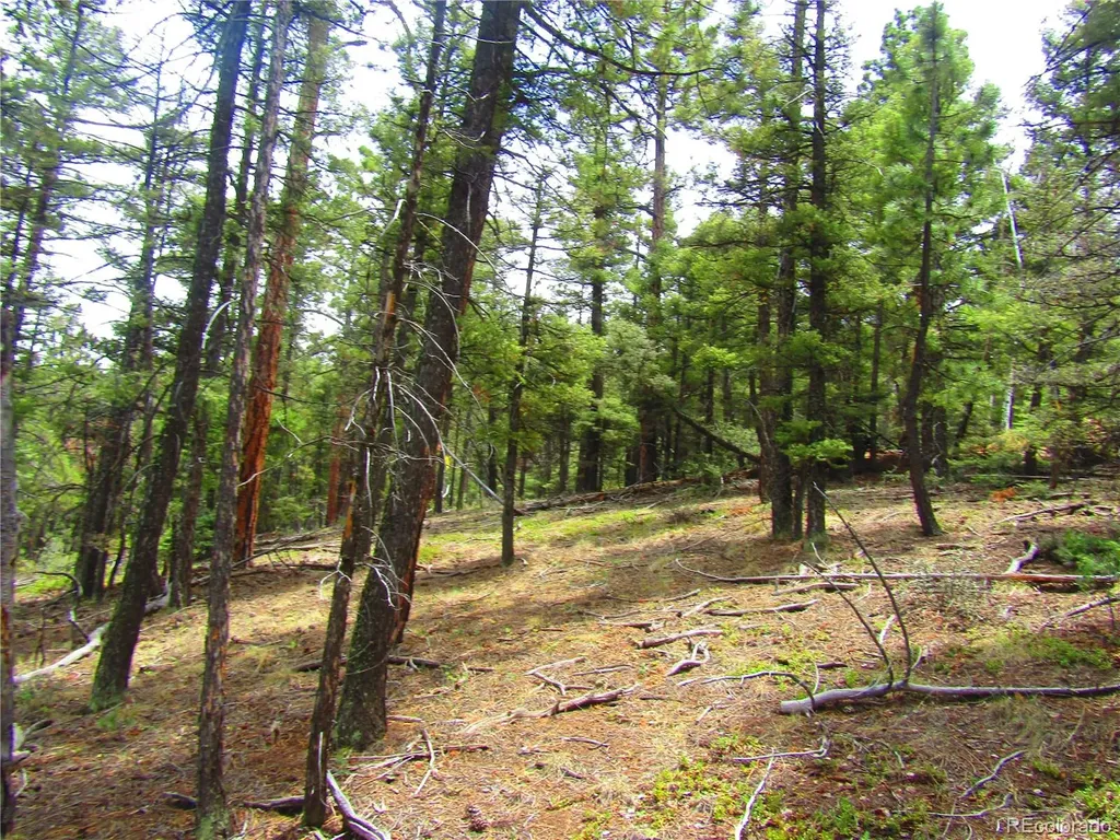 Lot 6028 Spruce Roads San Luis CO 81152