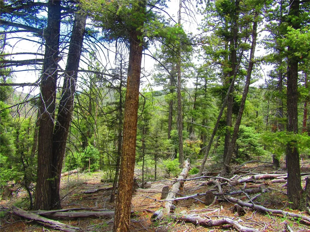 Lot 6028 Spruce Roads San Luis CO 81152